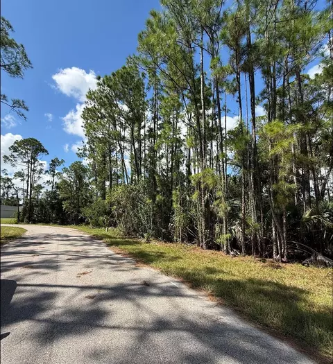 Carmelia Street, North Port, FL 34288