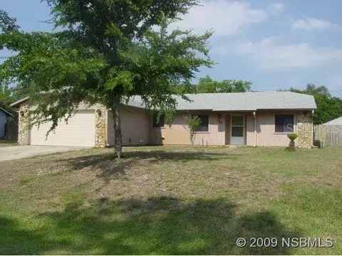 2811 Yule Tree Dr, Edgewater, FL 32141 photo 1