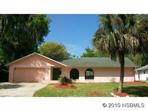 2422 Needle Palm Dr, Edgewater, FL 32141 photo 1