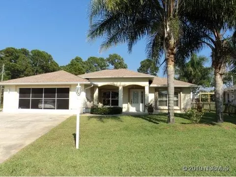 3003 Sabal Palm Dr, Edgewater, FL 32141 photo 1