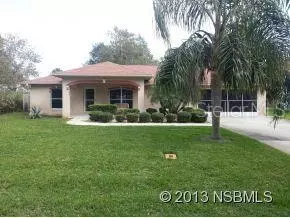 2937 Umbrella Tree Dr, Edgewater, FL 32141 photo 1