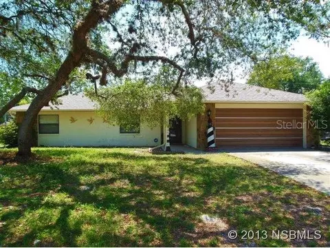 2920 Willow Oak Dr, Edgewater, FL 32141 photo 1