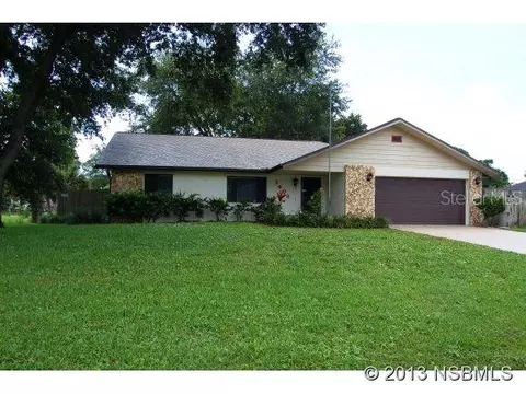 2403 Umbrella Tree Dr, Edgewater, FL 32141 photo 1