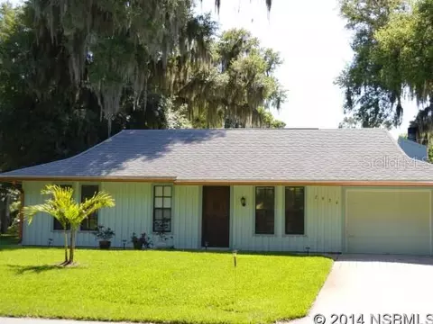 2934 Mango Tree Dr, Edgewater, FL 32141 photo 1