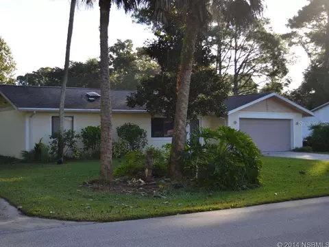 1909 Sabal Palm Dr, Edgewater, FL 32141 photo 1