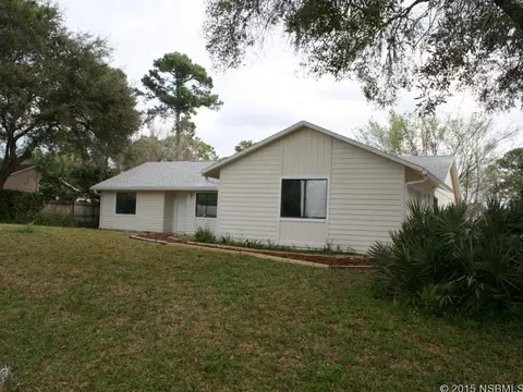 2429 Unity Tree Dr, Edgewater, FL 32141 photo 1