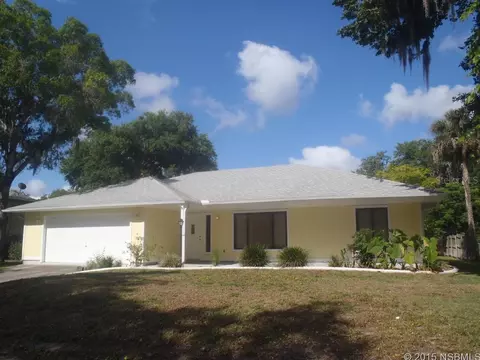 3028 Mango Tree Dr, Edgewater, FL 32141 photo 1