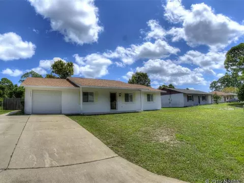 3215 Willow Oak Dr, Edgewater, FL 32141 photo 1