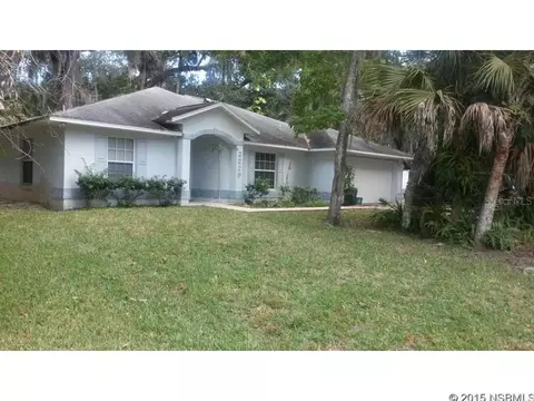 2229 Needle Palm Dr, Edgewater, FL 32141 photo 1