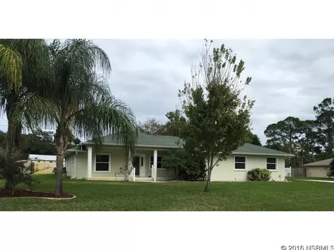2603 Sabal Palm Dr, Edgewater, FL 32141 photo 1
