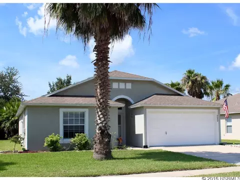 220 Tree Branch Ln, Edgewater, FL 32141 photo 1