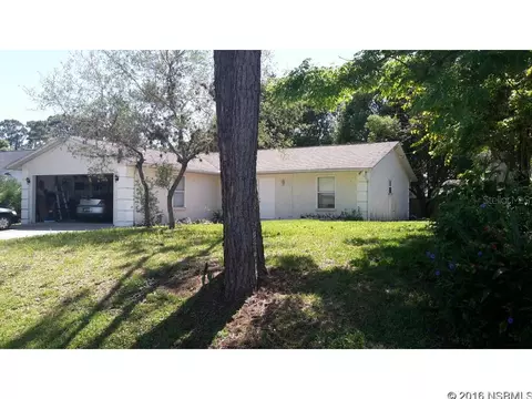 3026 Queen Palm Dr, Edgewater, FL 32141 photo 1
