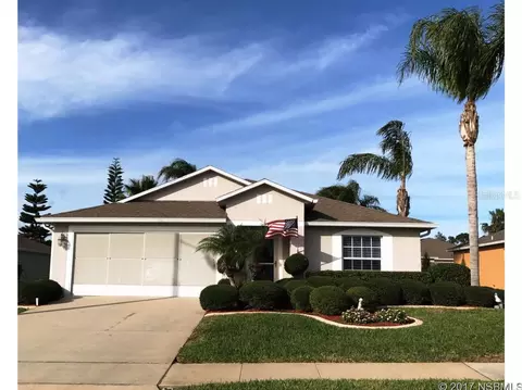 215 Tree Branch Ln, Edgewater, FL 32141 photo 1