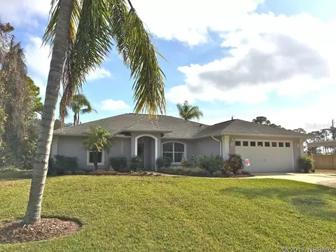 3303 Tamarind Dr, Edgewater, FL 32141 photo 1