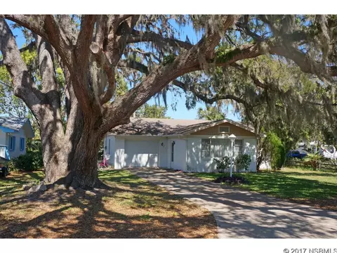 119 E Knapp Ave, Edgewater, FL 32132 photo 1