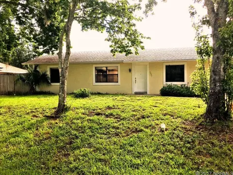 3321 Sabal Palm Dr, Edgewater, FL 32141 photo 1