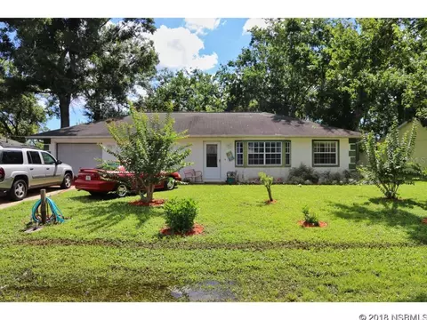2807 Umbrella Tree Dr, Edgewater, FL 32141 photo 1