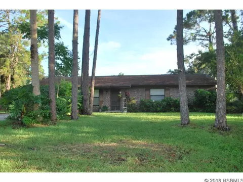 2631 Tamarind Dr, Edgewater, FL 32141 photo 1