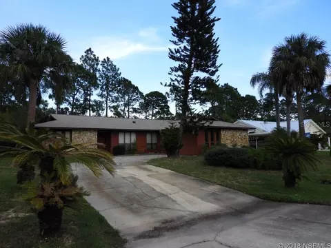 309 Sea Gull Ct, Edgewater, FL 32141 photo 1