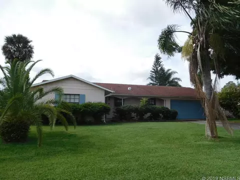 204 Lone Pine Dr, Edgewater, FL 32132 photo 1
