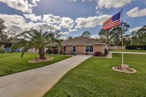 2904 Unity Tree Dr, Edgewater, FL 32141 photo 1