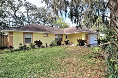 3316 Mango Tree Dr, Edgewater, FL 32141 photo 1