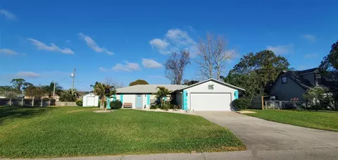 2219 Umbrella Tree Dr, Edgewater, FL 32141 photo 1