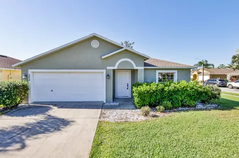 228 Tree Branch Ln, Edgewater, FL 32141 photo 1