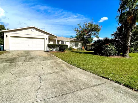 3313 Sabal Palm Dr, Edgewater, FL 32141 photo 1
