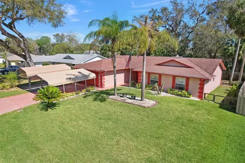 3123 Mango Tree Dr, Edgewater, FL 32141 photo 1