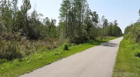 0 Maytown Rd, Oak Hill, FL 32759