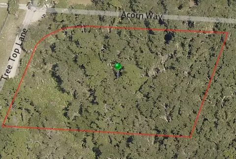 0 Tree Top Ln, Edgewater, FL 32141