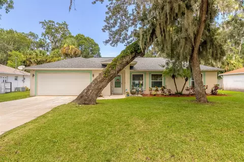 3027 Mango Tree Dr, Edgewater, FL 32141