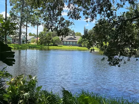 747 Pine Shrs, New Smyrna Beach, FL 32168
