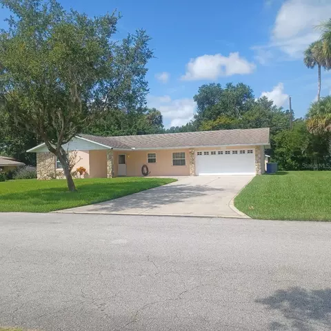2810 Mango Tree Dr, Edgewater, FL 32141 photo 1