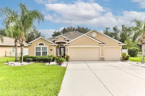 711 Grape Ivy Ln, New Smyrna Beach, FL 32168