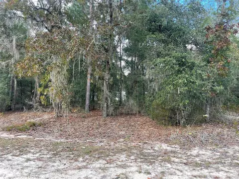 0 Pagoda, Out Of Area, FL 32148