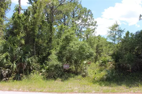 Wilcox Avenue, North Port, FL 34288