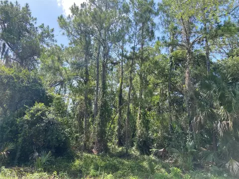 Griggs Avenue, North Port, FL 34291