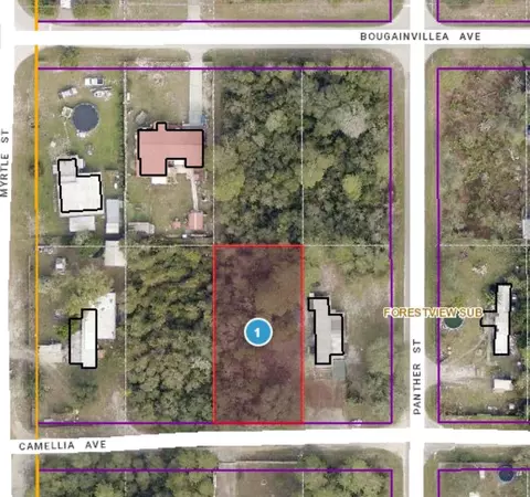 Camellia Avenue, Paisley, FL 32767
