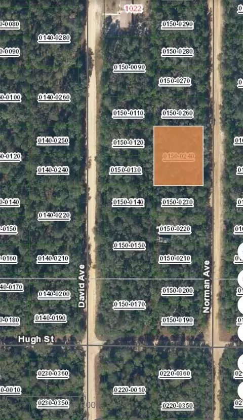 Norman Avenue, Interlachen, FL 32148