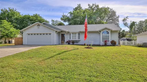 2917 Umbrella Tree Dr, Edgewater, FL 32141 photo 1