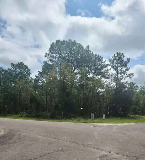tbd NE 7 Pl 150th Ave #LOT 30, Williston, FL 32696