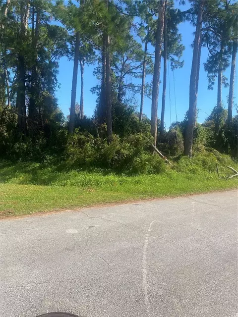 Royal Palm Drive, Edgewater, FL 32141