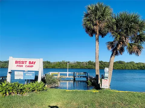 251 Bissit Bay Rd, Oak Hill, FL 32759