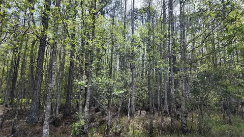 4680 Fir Rd, New Smyrna Beach, FL 32168