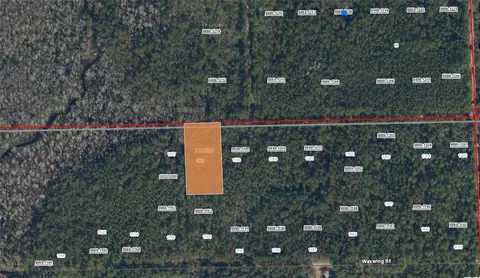 Near W Pinellas, Palatka, FL 32177