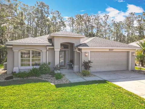 1077 Crystal Creek Dr, Port Orange, FL 32128