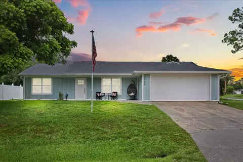 2529 Umbrella Tree Dr, Edgewater, FL 32141 photo 1