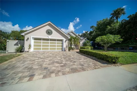 702 Saxon Palm Ct, New Smyrna Beach, FL 32169